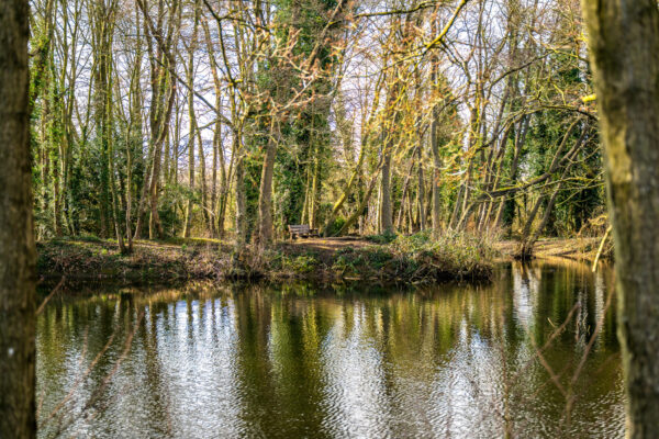 The Willows, Sudbrooke, LN2
