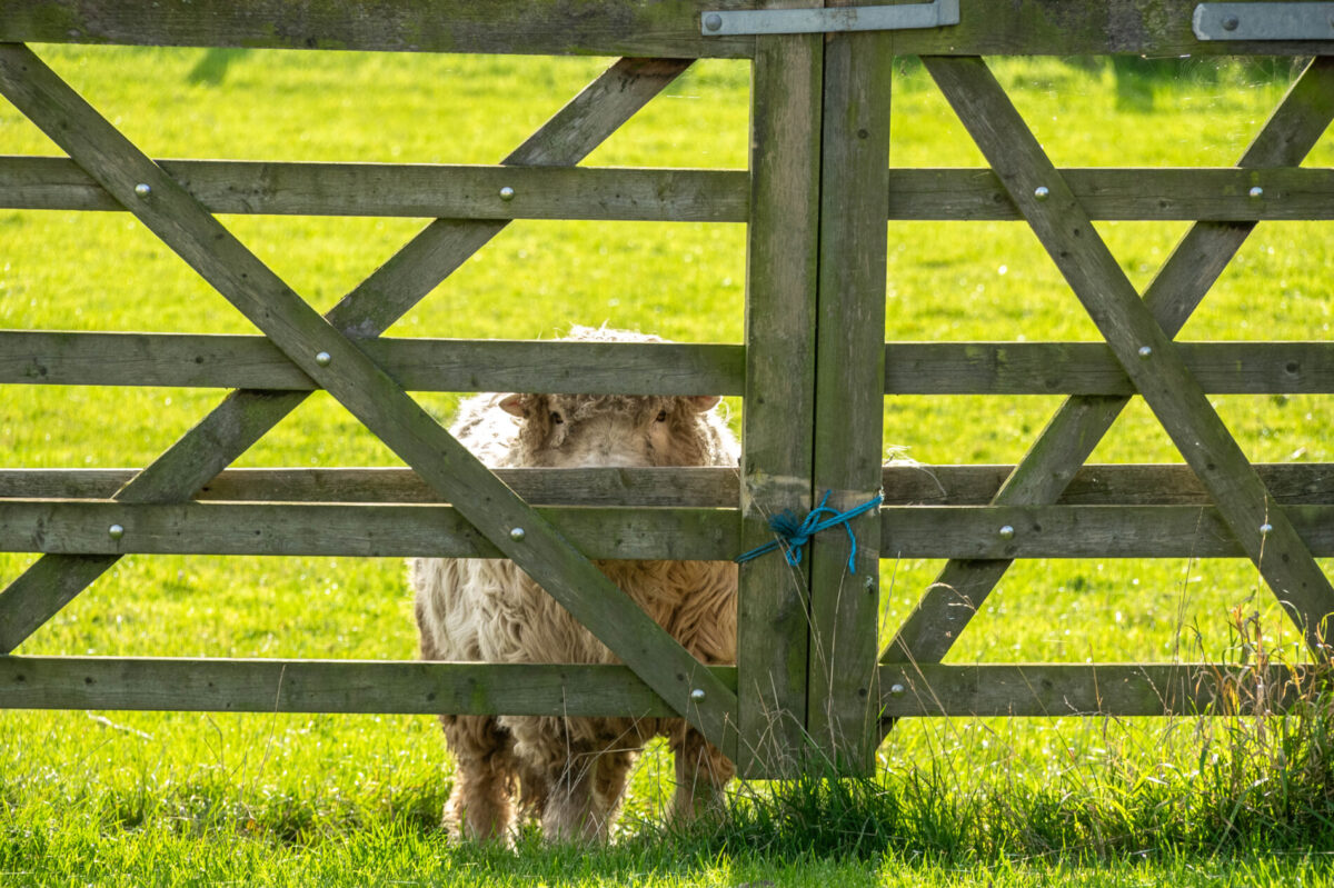 Low Grounds, Swineshead, PE20