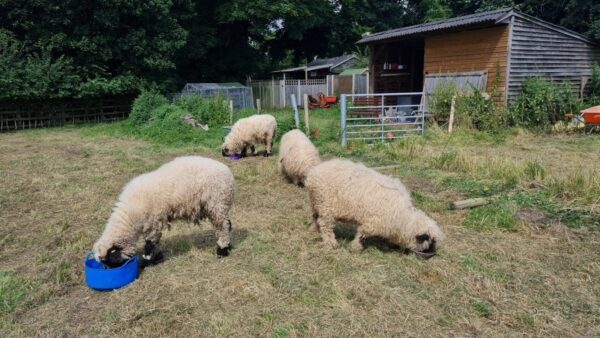 West End, Farndon, NG24