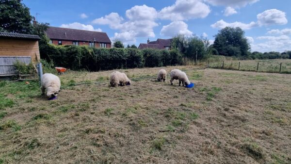 West End, Farndon, NG24